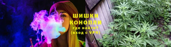 гидропоника Карталы