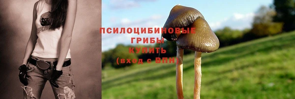 гидропоника Карталы